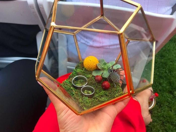 bam Our Very Non-traditional Wedding 2