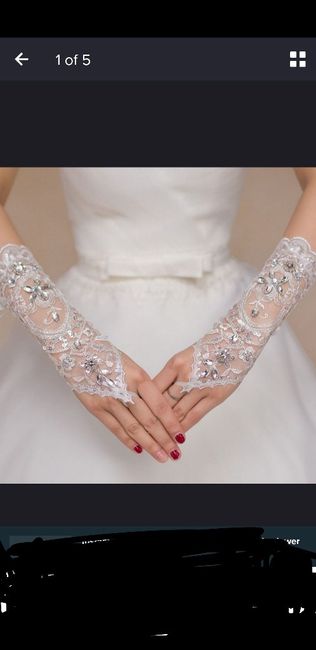 Dress jewelry and maybe gloves? 1