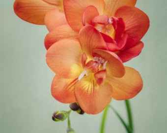 I need advice on wedding colors