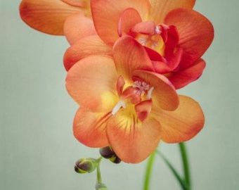 I need advice on wedding colors