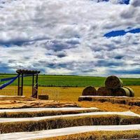 Legion/VFW Reception?