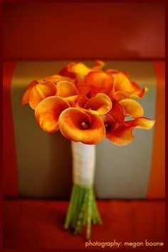 Let's see your flowers!