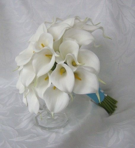 Let's see your flowers!