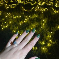 2023 Brides - Show us your ring! - 1
