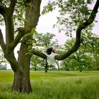 Ideas For Photo Ops For Brides To Be**Pic Heavy**