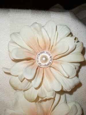 Birdcage Veils....anyone using one?