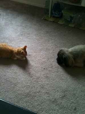 NWR: Had to share our new addition!