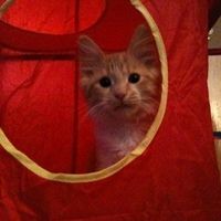 NWR: Had to share our new addition!