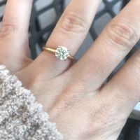 Show me the Ring!💍 - 1