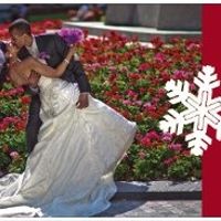 NWR: Photo Xmas cards have been ordered!