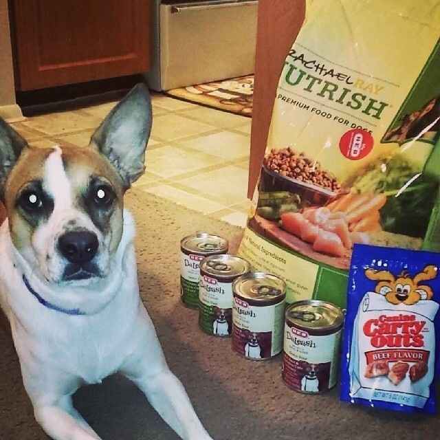 It's National Dog Day!