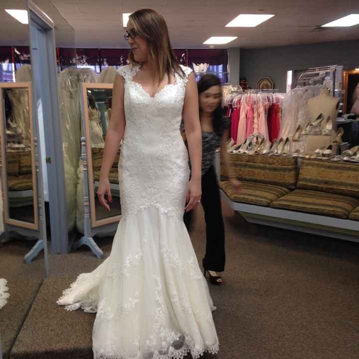 I found THE dress!! (w/ pics)