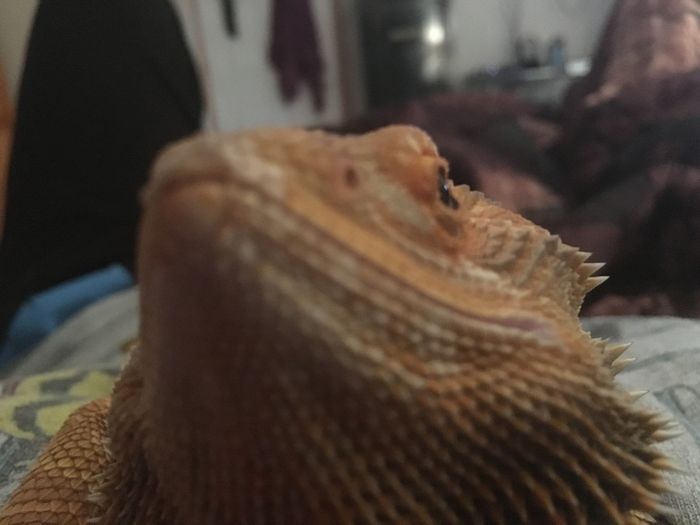 Weekly Compliment Thread