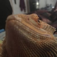 Weekly Compliment Thread