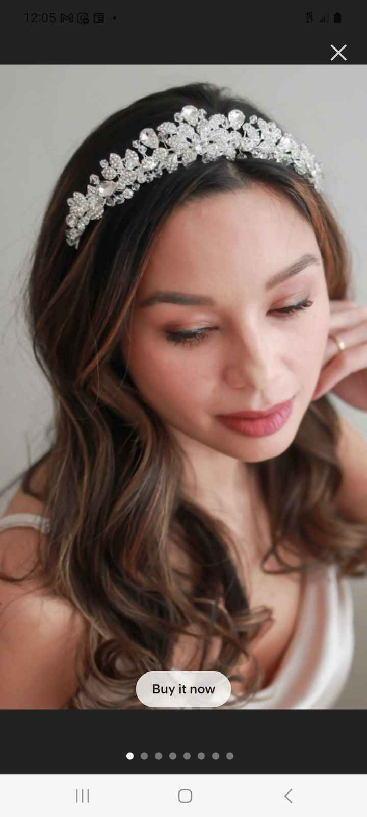 Headband or Tiara - 1