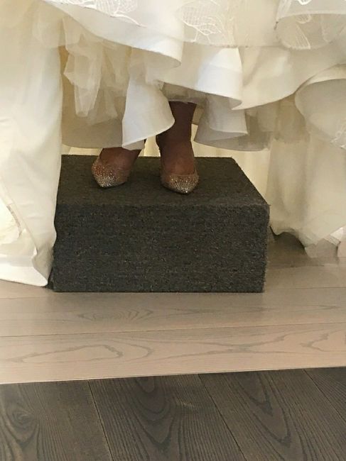 Show Me Them Shoes!! - 1