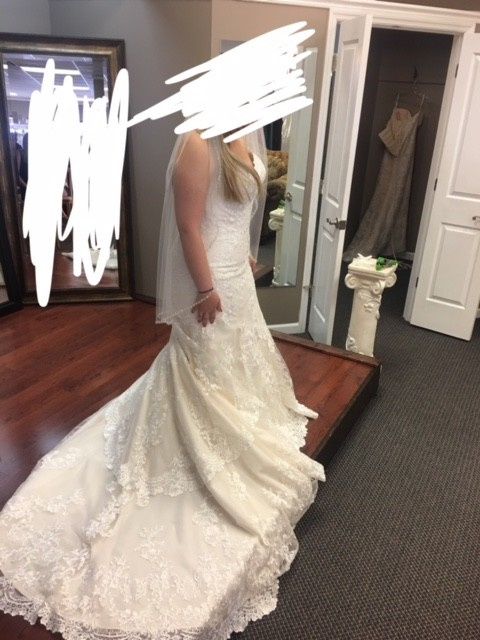 Found the Dress! Show Me Yours! 5