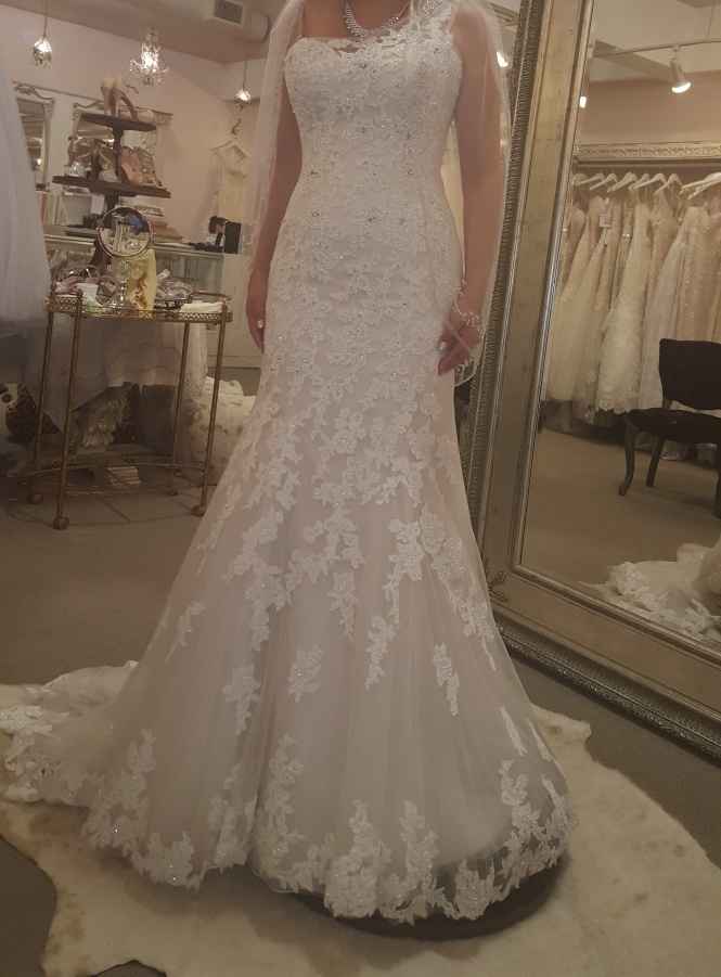 Found the dress but my finacé thinks it's overprice - 1