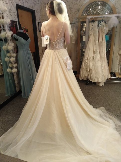 Lets see those dresses!! - 1