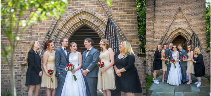 Whole Wedding party portraits