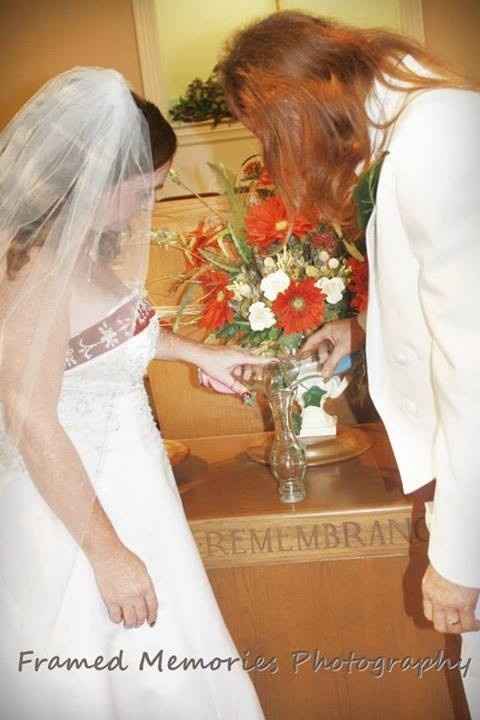 PRO PICS *Pic Heavy*