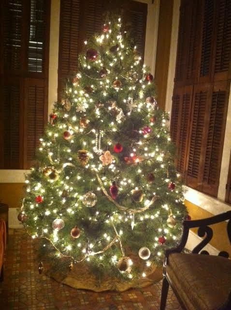 NWR - Alright, who's got their tree up?!