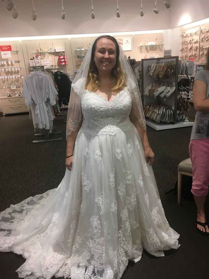 Dress Help! Please post your gowns!! - 1