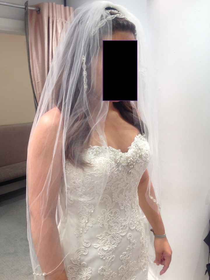 Second dress fitting!!!! (with pictures)