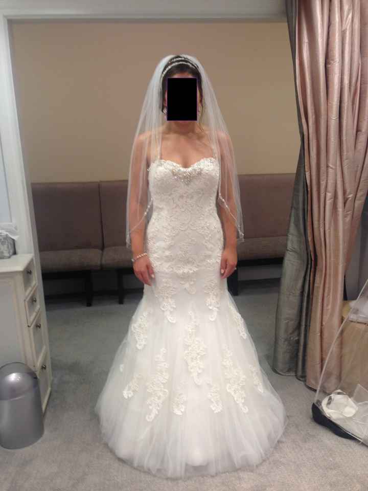 Second dress fitting!!!! (with pictures)