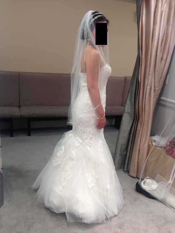 Second dress fitting!!!! (with pictures)