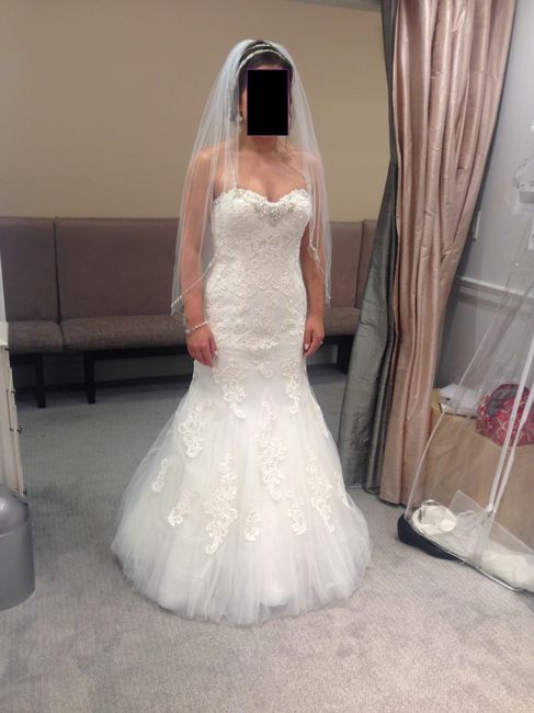 Second dress fitting!!!! (with pictures)