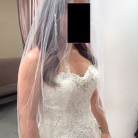 Second dress fitting!!!! (with pictures)