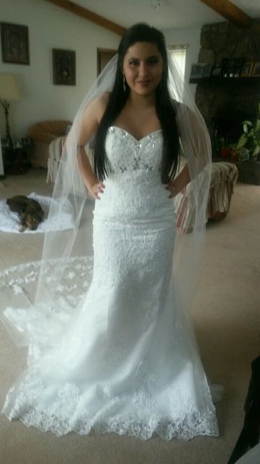 My dress and veil!!!!