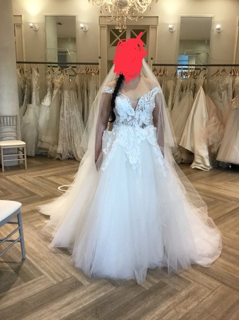 Plus Size Brides! Dress shopping experiences 3