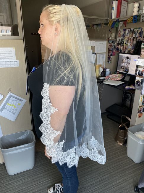 Veil Length?? 4
