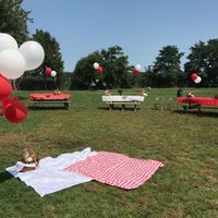 Picnic bridal shower