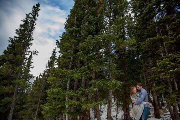 Our engagement pictures are back and we are so in love!