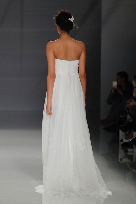 Inspiration Dress back
