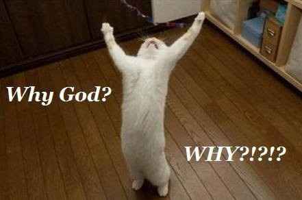 Wedding with a talent show?