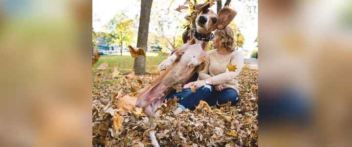 kwr - Adorable e-pic photobomb!