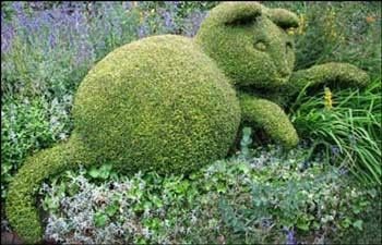 NWR - Original Randi hedgey cuteness