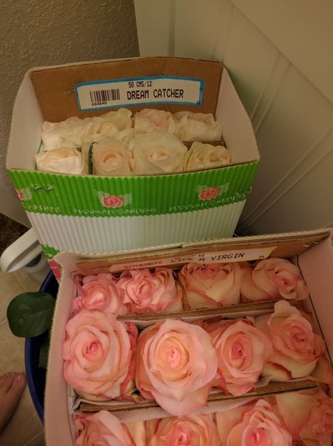 DIY FiftyFlowers Prep! on mobile...