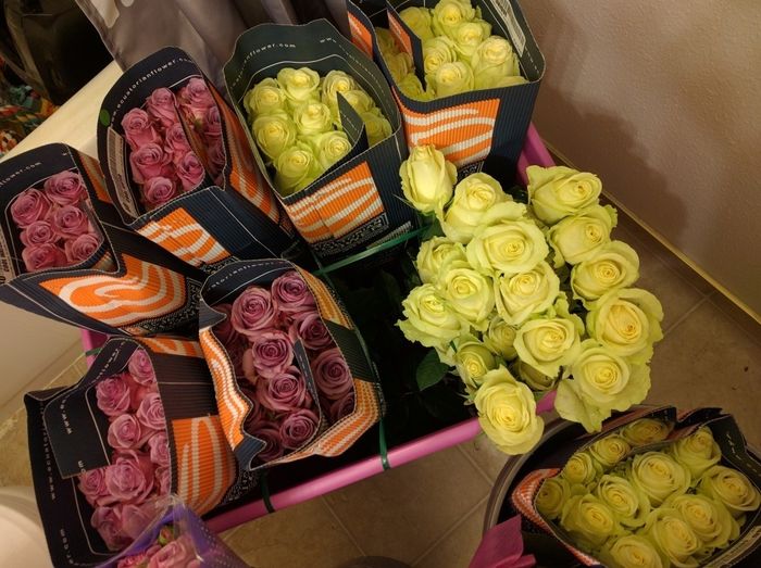 DIY FiftyFlowers Prep! on mobile...