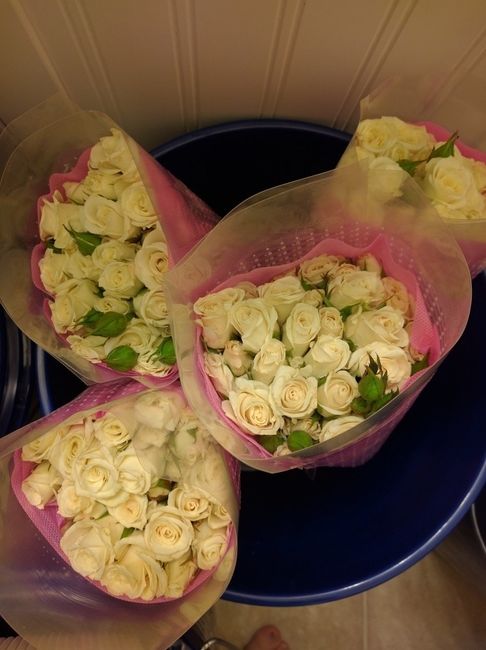 DIY FiftyFlowers Prep! on mobile...