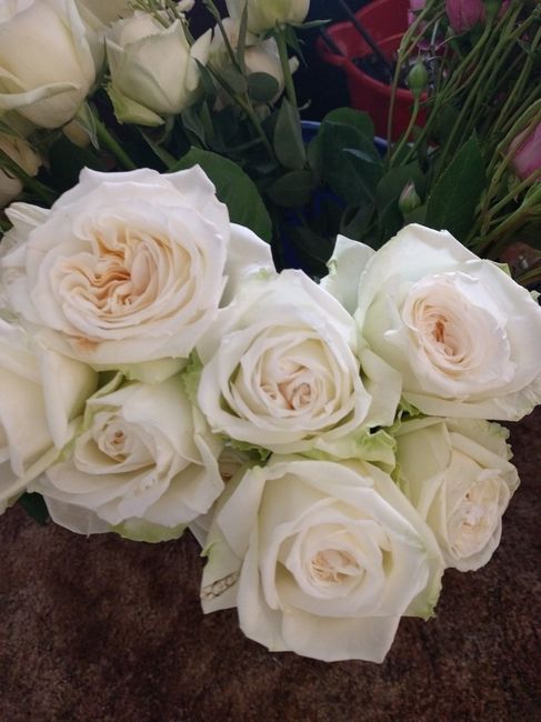 DIY FiftyFlowers Prep! on mobile...