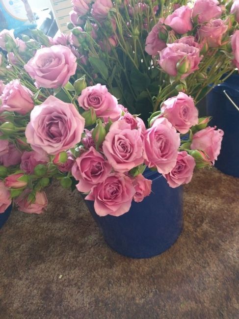 DIY FiftyFlowers Prep! on mobile...