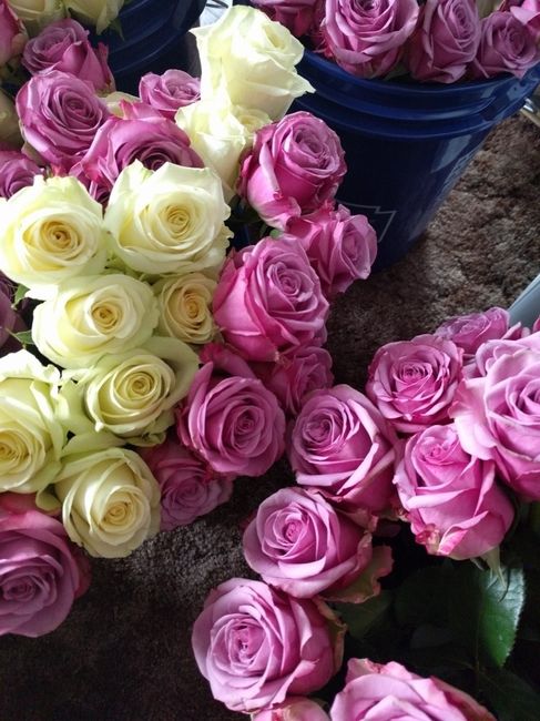 DIY FiftyFlowers Prep! on mobile...