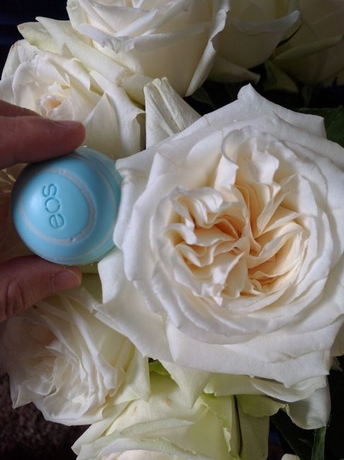DIY FiftyFlowers Prep! on mobile...