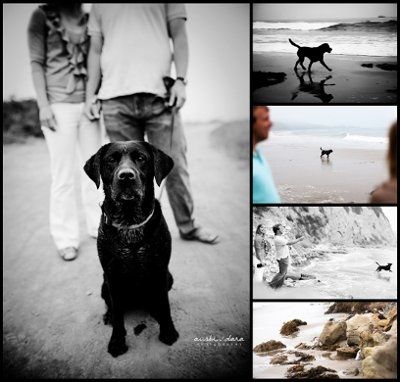 Engagement Photo Session
