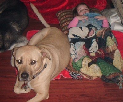 SBR: Meet my Fur-babies, lets see yours too
